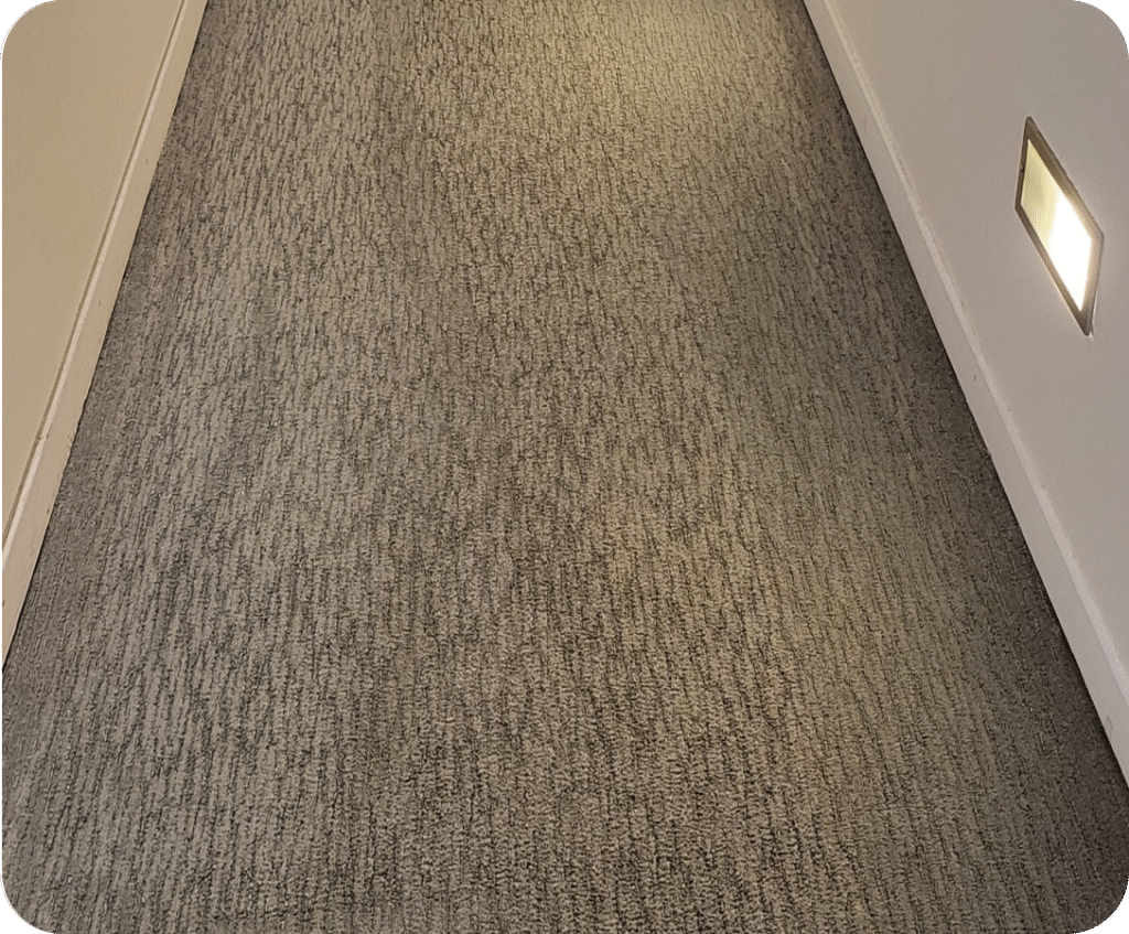 Nettoyage moquette Toulouse
