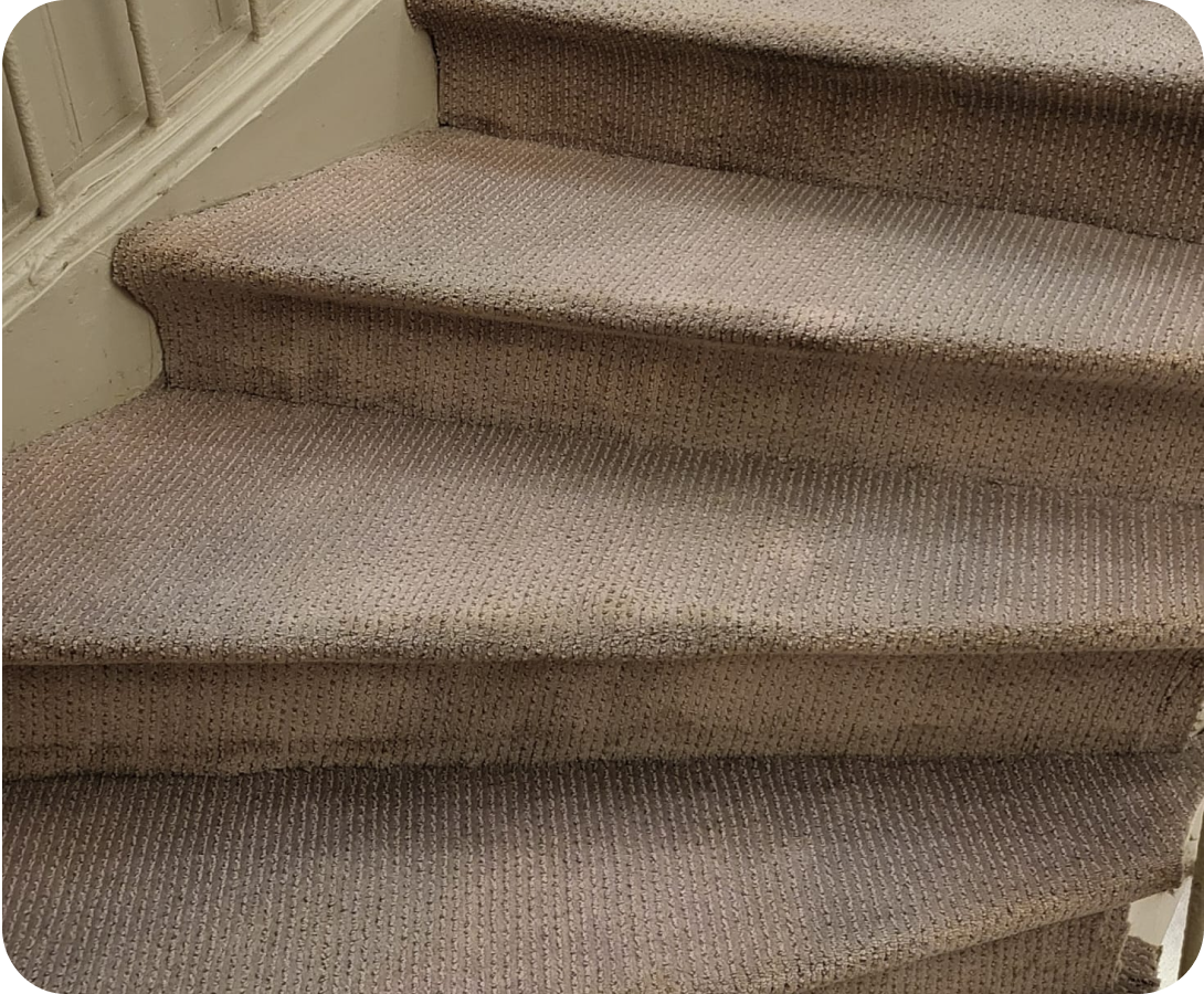 Moquette après nettoyage à domicile par RAFFCLEAN